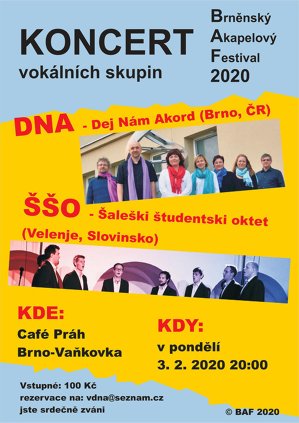 Koncert vokálních skupin DNA a ŠŠO